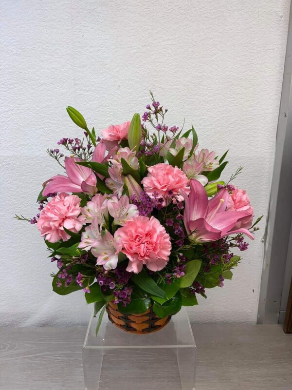 Women's Day